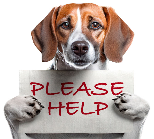 Please Help
